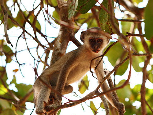 Parque Nacional da Quiçama